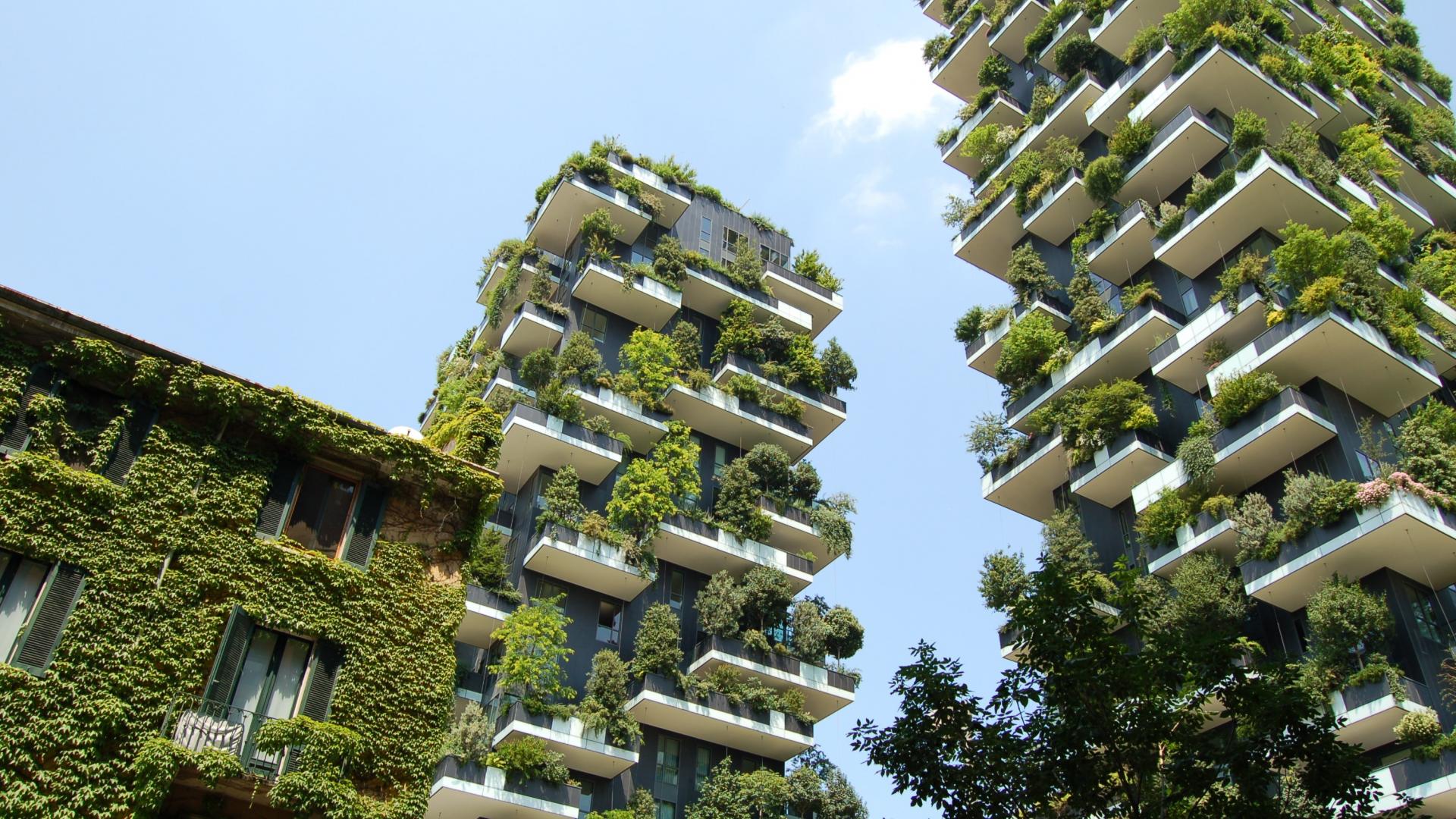 Photo of a high-rise urban building covered in greenery