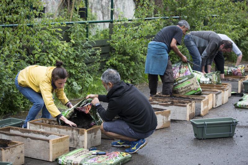 People preparing planters and bedding in plants