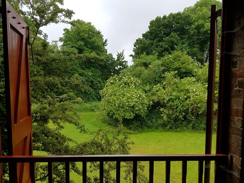 View through open window to garden and woods