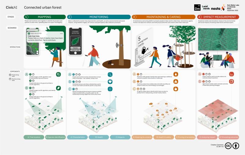 Connected urban forest overview graphic
