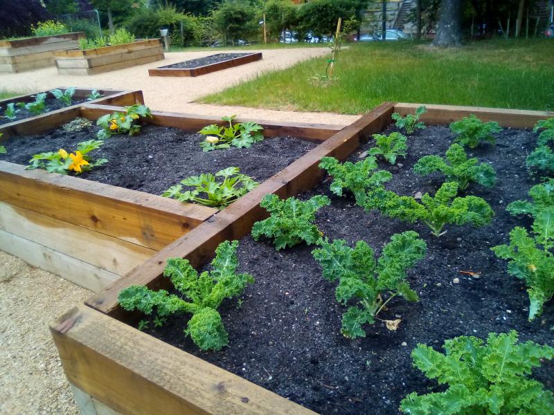 Close up of allotment planters showing wide flat pathways for access in background