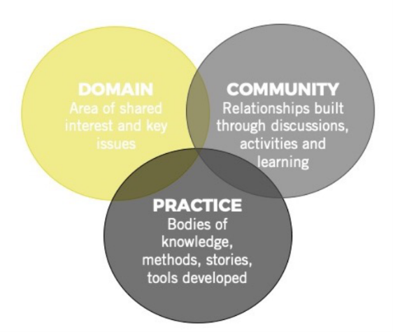 Venn diagram showing 3 overlapping circles Domain, Community, Practice