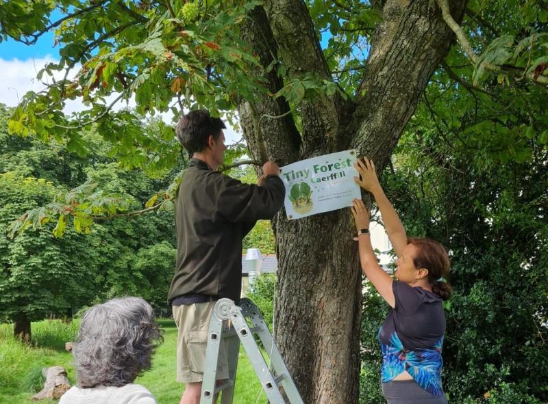 Three people from Tiny Forest Caerphilly pinning sign on tree to promote project
