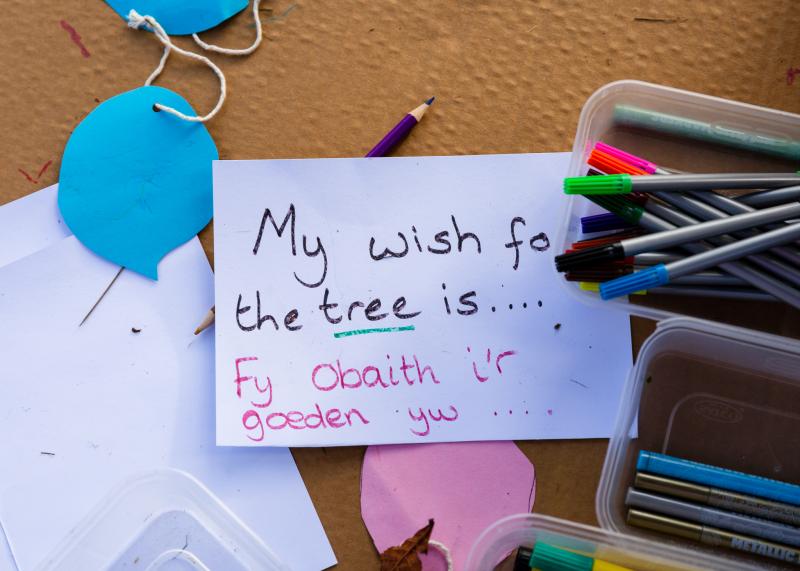 Hand written pledge "My wish for the tree is...." in English and Welsh