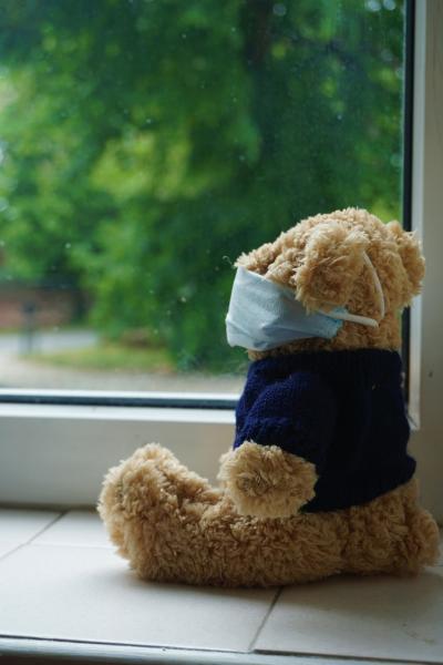 Teddy bear waring facemask looking out of window