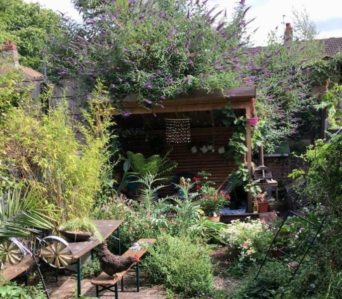 View of wild garden with open shed in background, hen on bench in foreground