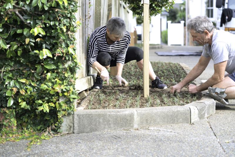 Middle-aged couple planting grass on raised bed on shared driveway.