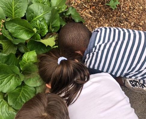 3 kids, heads together, bent over examining leafy plant in flowerbed