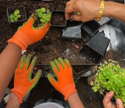 Close up of children's and adult hands in gardening gloves with seedlings and trays