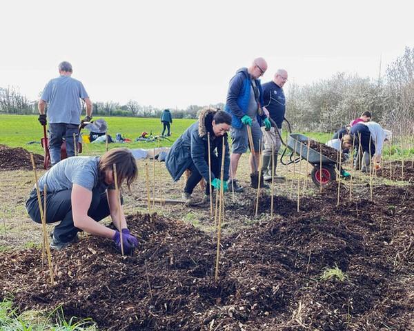 Members of Merton FOE planting seedlings in open green space