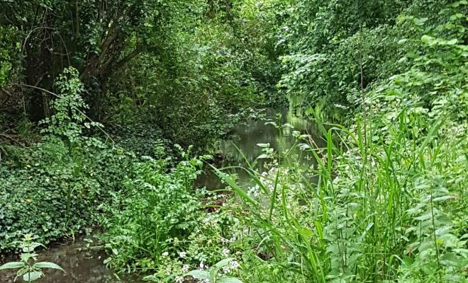 View of Darent river