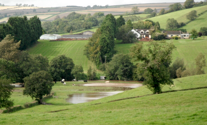 Landscape with trees and pond farm in background