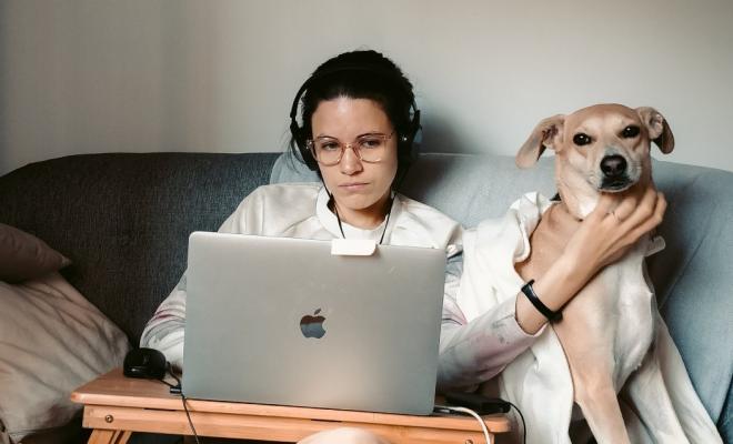 Woman sitting on sofa with laptop on her knees, large dog on its haunches beside her