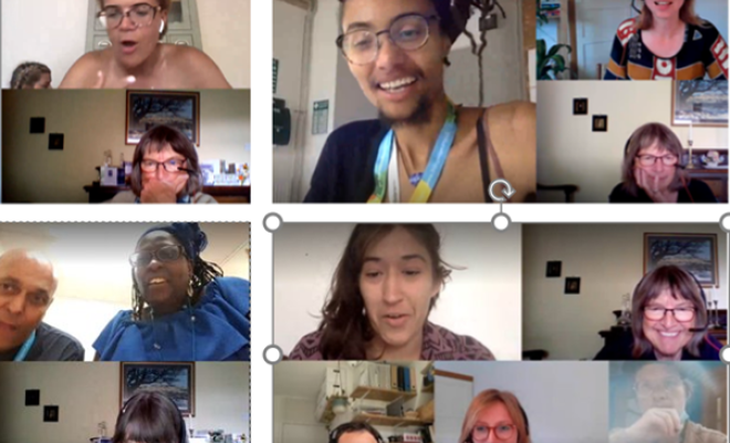 Screen grabs of LNIF organisers taken from Zoom calls
